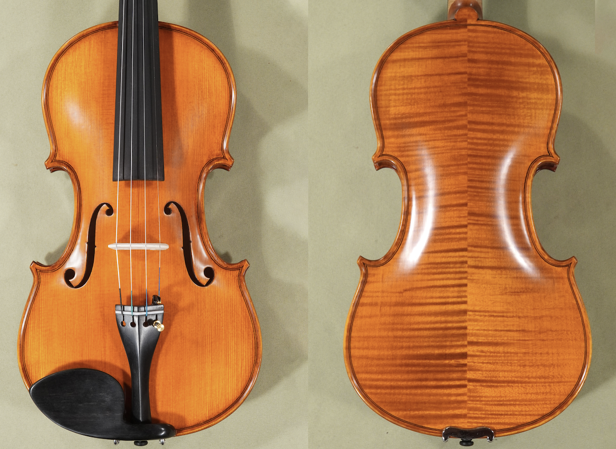 d1674-gliga-violin4-4gama-elite.png