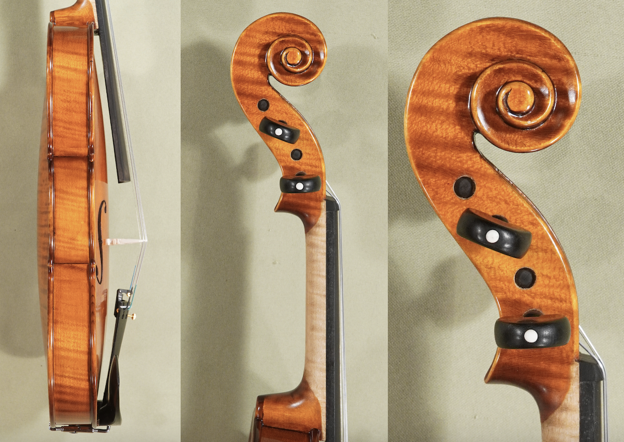 d1708violin4-4gama-gliga-gama-advaced-violin-sides-and-neck.png