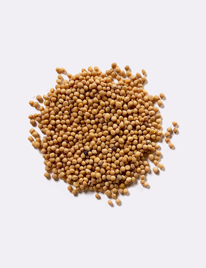 Mustard Seed Whole - Con Yeager Spice Company