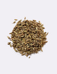 Fennel Seed Whole