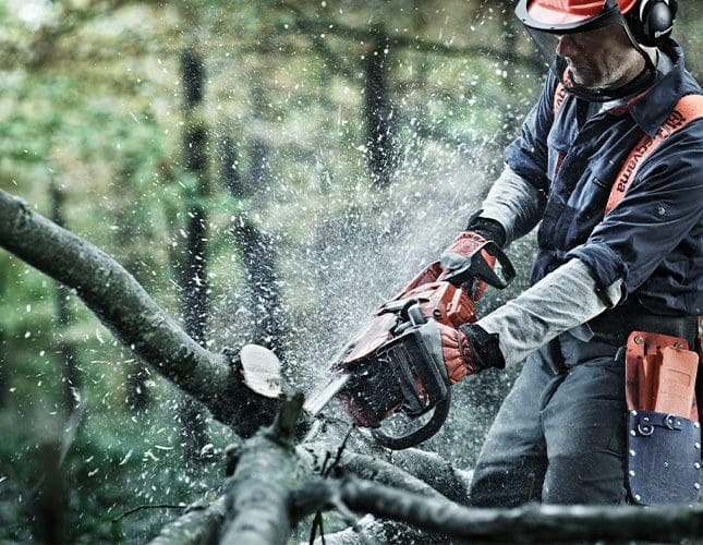 Chainsaw cutting wood