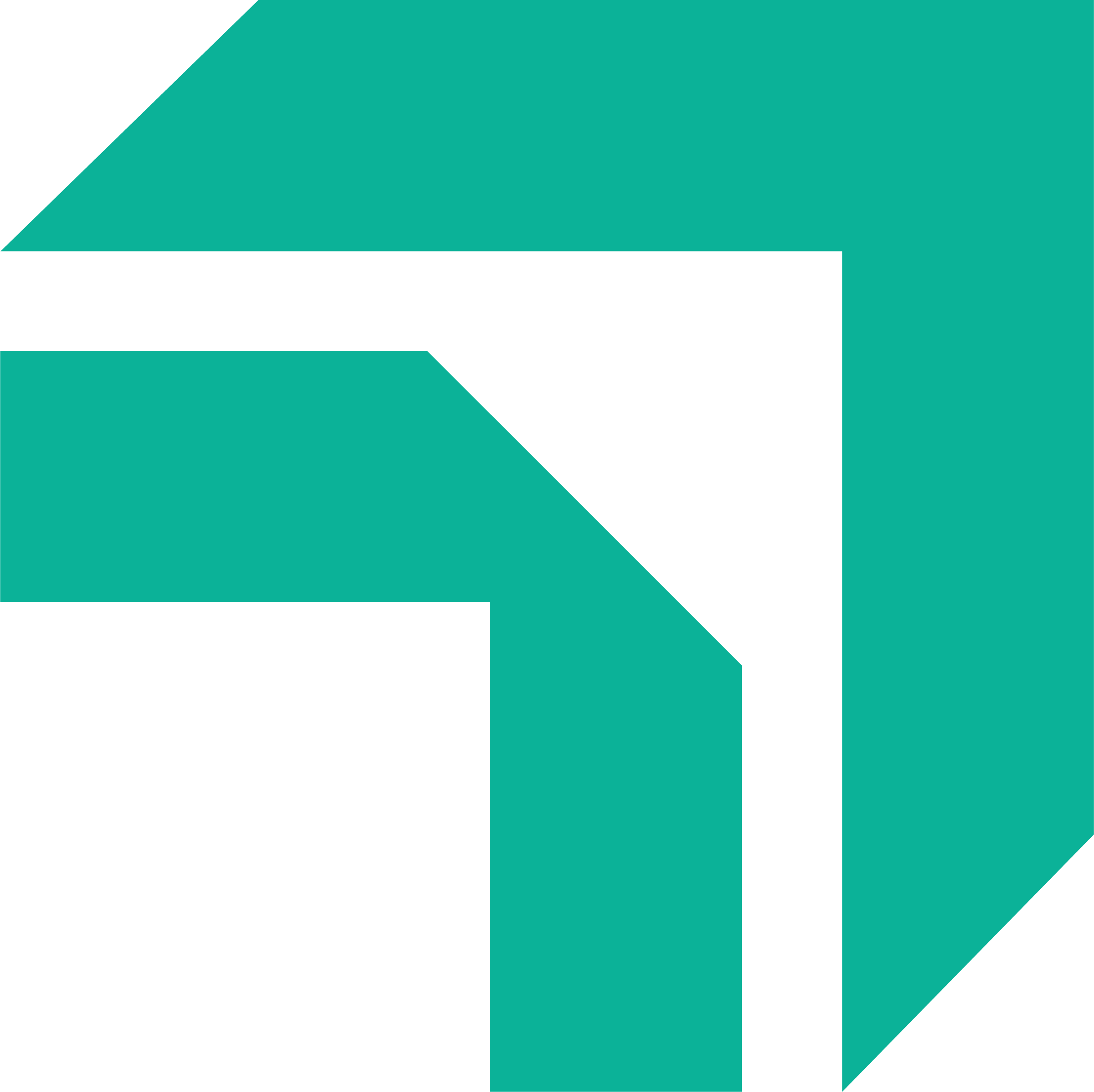 Footer Logo