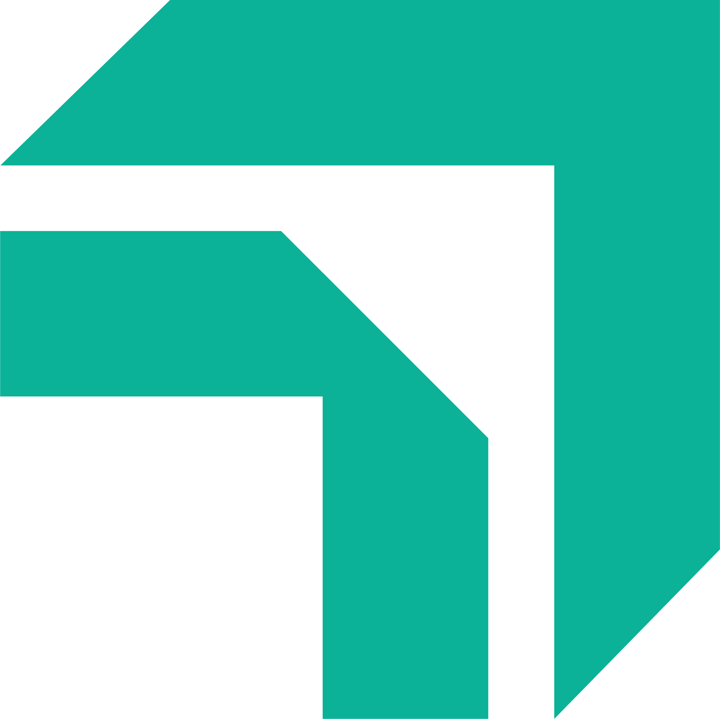 Footer Logo