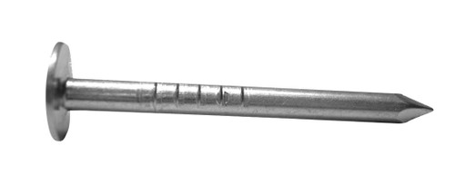 1IN EG ROOFING NAILS