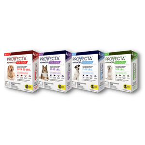 PROVECTA ADVANCED DOG 21-55LB
