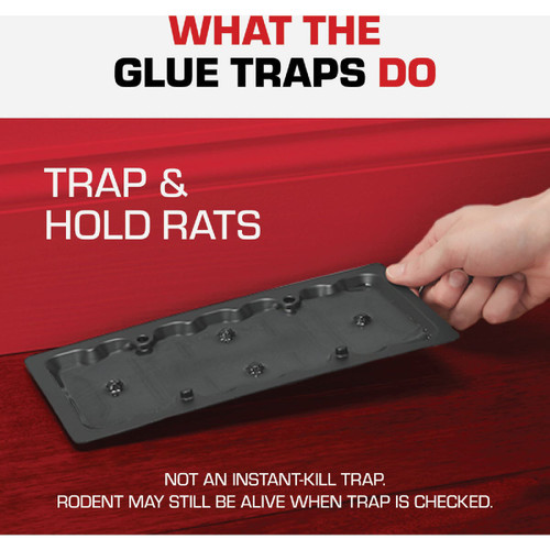 2PK RAT GLUE TRAP