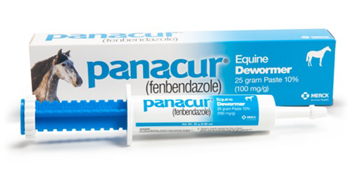 PANACUR HORSE PASTE 10% 25MG_