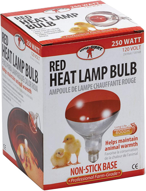 LITTLE GIANT RED HEAT LAMP BULB 250 WATT