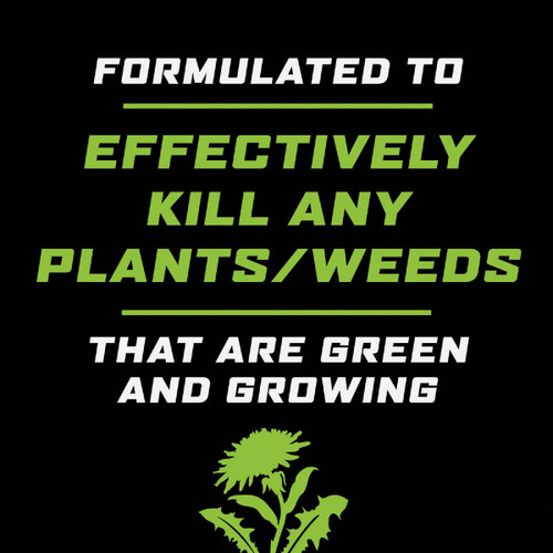 ORTHO GROUNDCLEAR  32-OZ CONCENTRATE WEED/GRASS KILLER