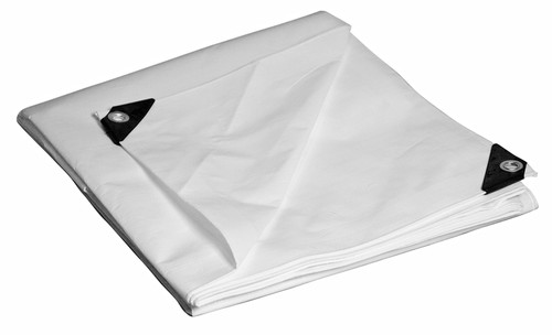 FORMST HD 10ML WHITE TARP 20'X30'  32030