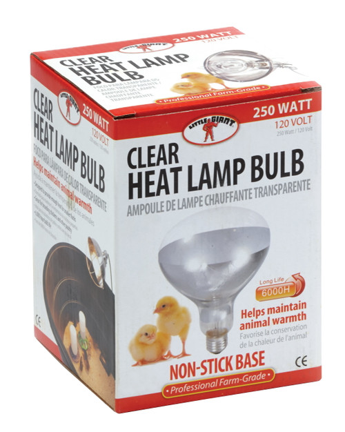 LITTLE GIANT CLEAR HEAT LAMP BULB 250 WATT