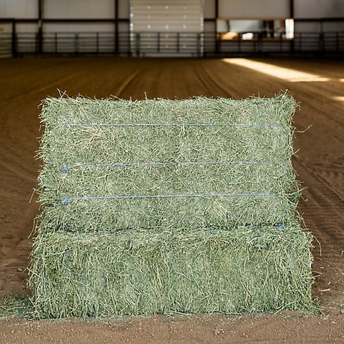 ALFALFA HAY 3-STRING BALE