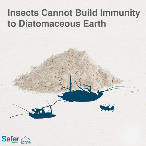 4LB DIATOMACEOUS EARTH