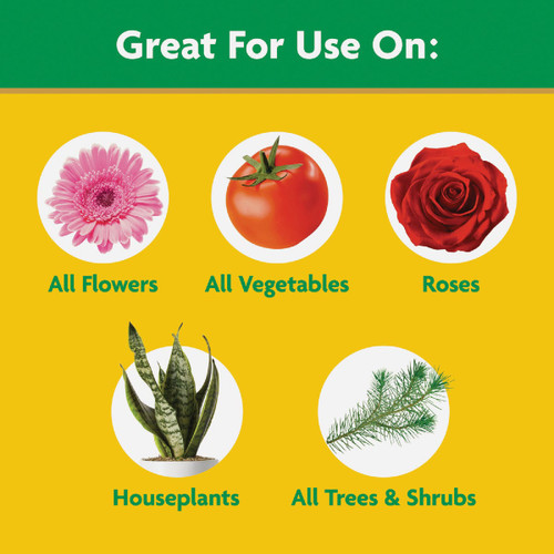 10LB MGRO PLANT FOOD