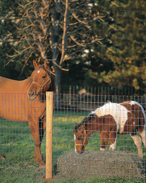72 X 100 RED BRAND HORSE FENCE 2X4 12.5GA NONCLIMB