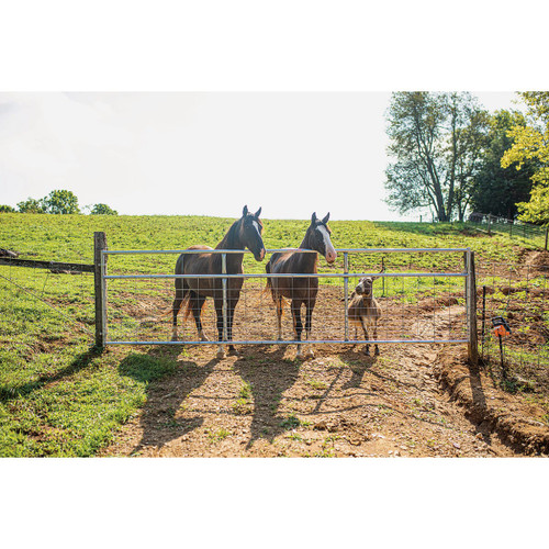 TARTER 16FT WIRE FILLED GALVANIZED GATE