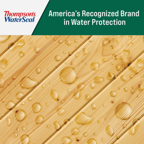 THOMPSONS 1.2GAL CLEAR VOC WOOD PROTECTOR