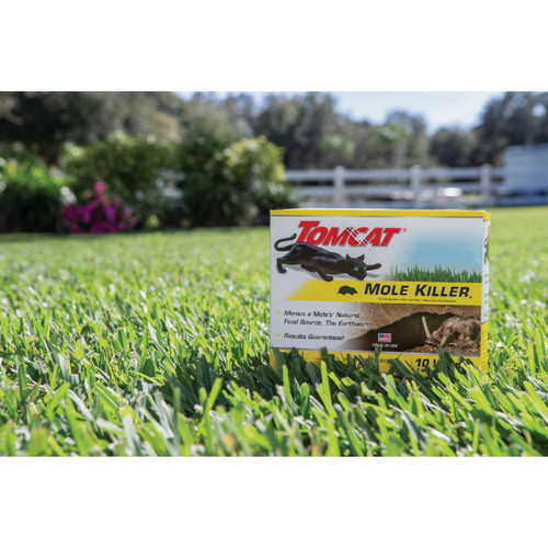 TOMCAT MOLE WORMS