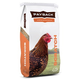 5 GRAIN HEN SCRATCH 50 LB PAYBACK