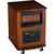 1500W 120V QAURTZ HEATER WITH WOODGRAIN CABINET