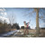 M18 FUEL QUICK-LOK 10" POLE SAW ATTACH   MILWAUKEE