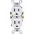 LEVITON WHITE DUPLEX OUTLET 5320WCP
