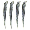 Muddy Buck Gear 5" Parabolic RW Feathers - 36 Pack (Camo White)
