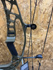 Hoyt - Alpha AX-2 29 - 70# - RH - Wilderness