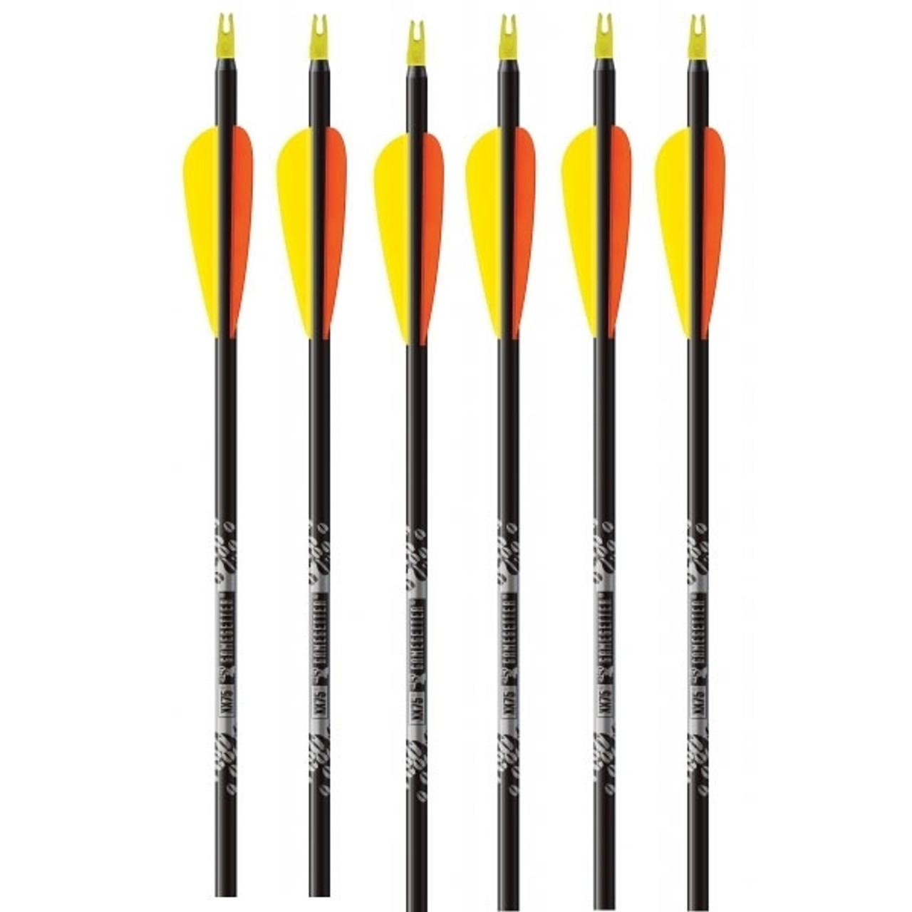 完売UNITED ARROWS
【別注】＜FEILER＞35TH ハンカチ Amazon.com : Wicked Ridge by TenPoint Lighted XX75 - Pack of