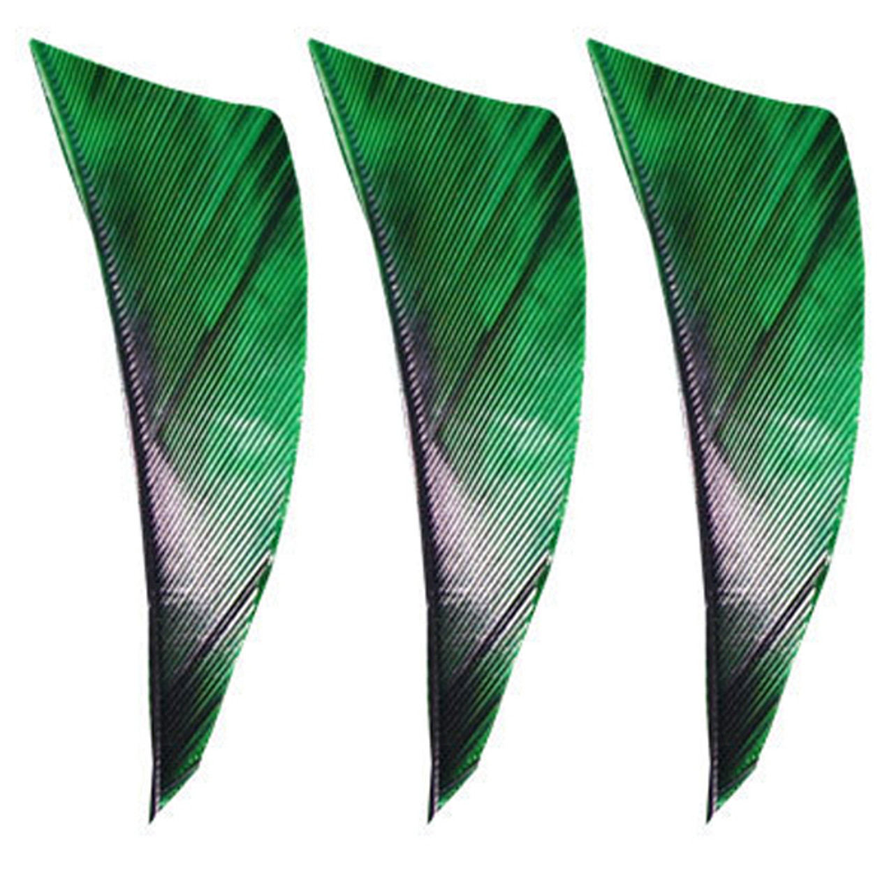 Muddy Buck Gear 2" RW Shield Cut Feathers - 100 Pack (Camo Green)