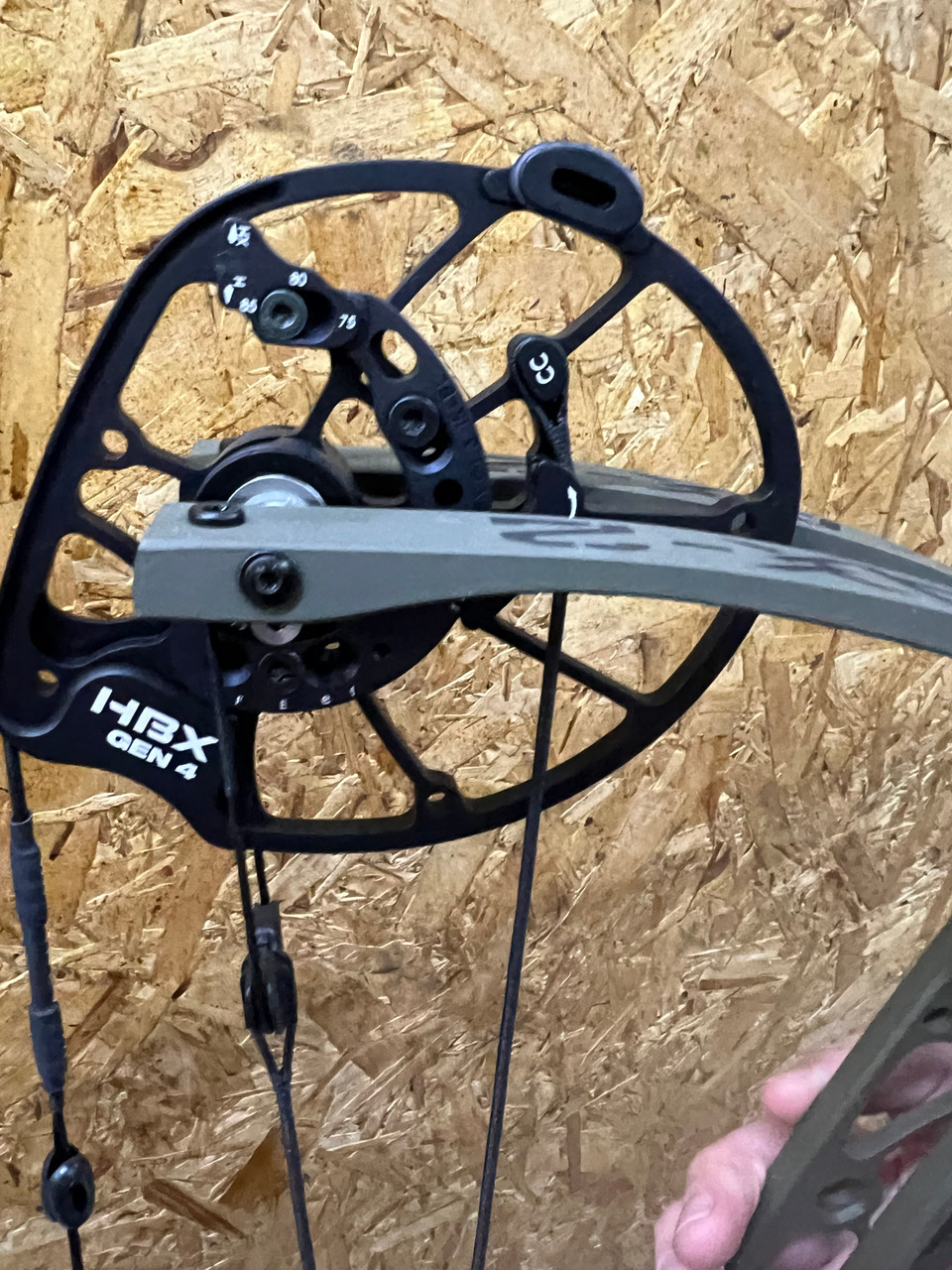 Hoyt - Alpha AX-2 - 32 - 70# - WIlderness