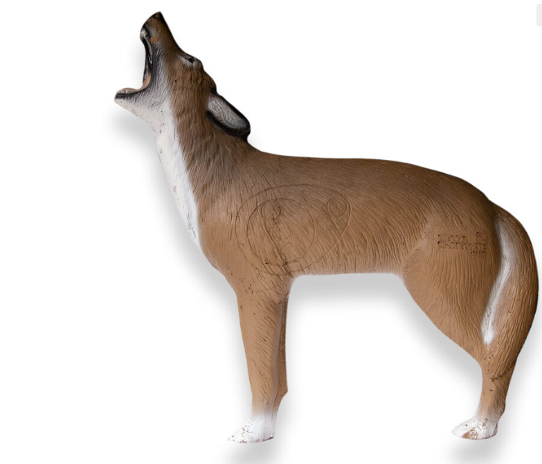 Delta Mckenzie - Howling Coyote - Blemished