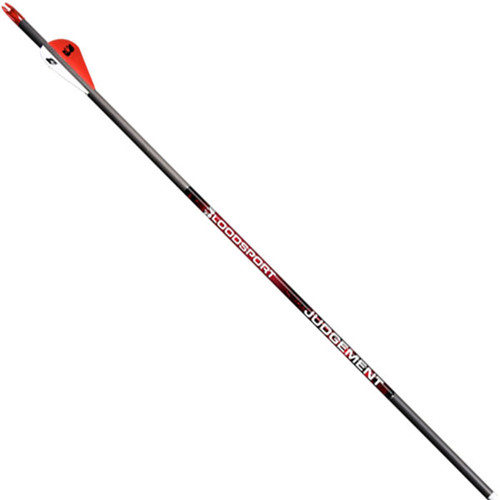 BloodSport Judgement 500 .001 6PK Arrows w/ 2in. Fletchings