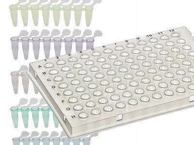 PCR