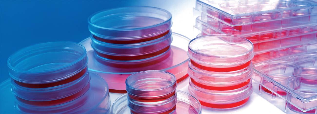 Applications - Cell Culture - Cell Media & Reagents - Genesee