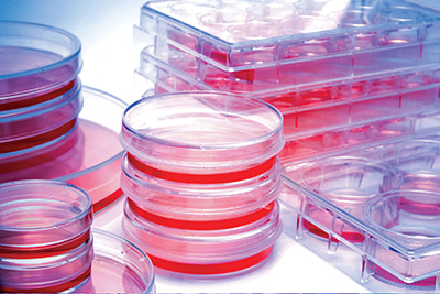 Stacks of petri dishes and multiwell plates filled with red cell culture media