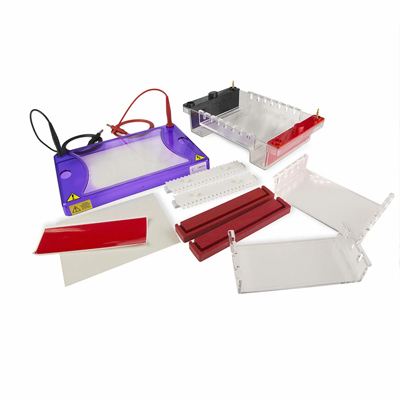 Electrophoresis gel systems with combs, buffers, blotting paper, and accessories