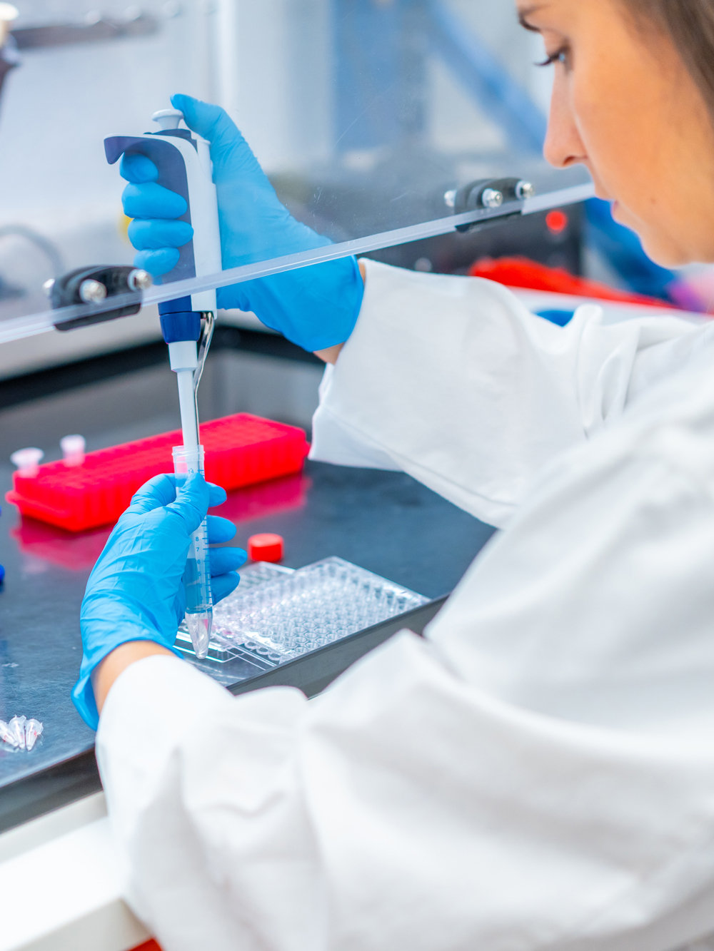 Scientist pipetting liquid into vial with gloved hands in a biosafety cabinet during lab testing