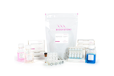 PCR Biosystems master mix kits and reagents for PCR and qPCR applications