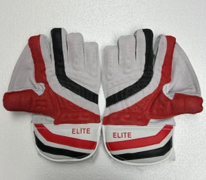 SS Elite Wicket Keeping Gloves' 2026