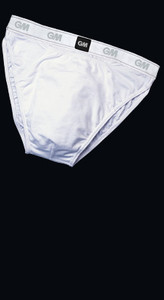GM  Cricket Box Brief
