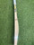 SG KLR Edition English Willow Cricket Bat' 2026