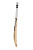 SG Roar LE English Willow Cricket Bat' Youth 