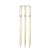 SG Club Cricket Stumps