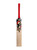 CA Pro 15000 Performance Edition English Willow Cricket Bat' 2025