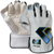 GM Aion 909 Wicket Keeping Gloves' 2025