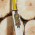 GM Ben Duckett DXM Players Edition Cricket Bat (2026)