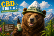CBD - The Quick Explanation