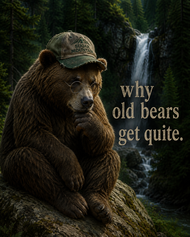 Why Old Bears Get Quite After Retirement.