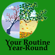 Skincare by Season: Adjusting Your Routine Year-Round